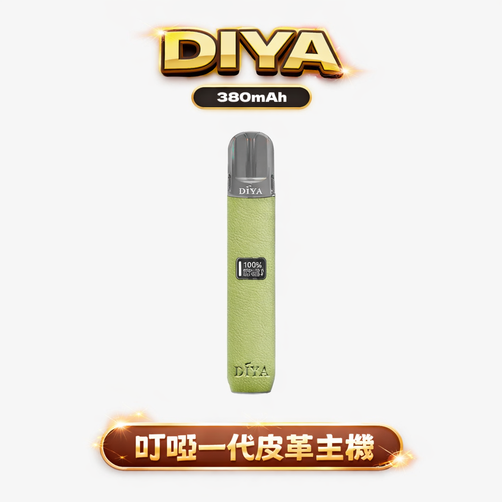 DIYA 一代皮革主機