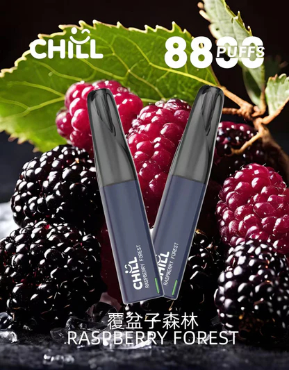 CHILL鴨嘴獸 550mAh續航怪獸 8800口 拋棄式電子煙 新品上市 大容量可充電 Mesh芯 台灣現貨:圖片 7