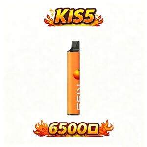 KIS5 鎧斯6500口拋棄式電子煙 雙芯磁吸混搭 Type-C快充 桂花綠茶+薄荷+葡萄等組合 台灣現貨